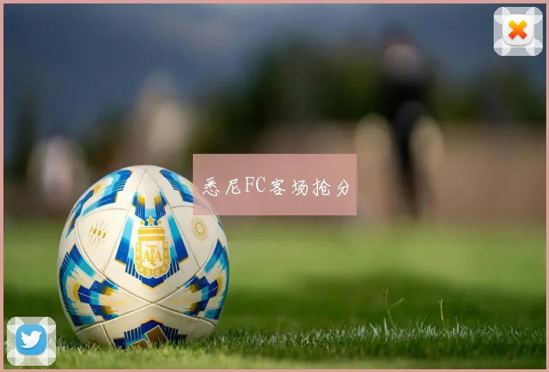 悉尼FC客场抢分