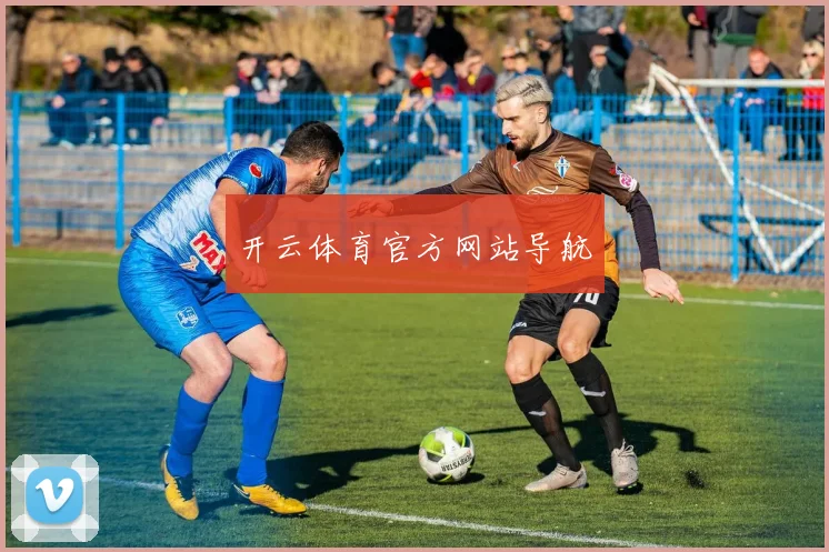 开云体育官方网站导航