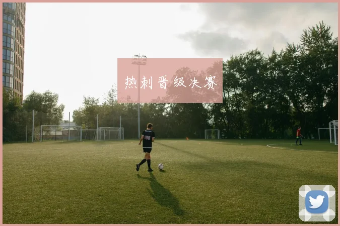 热刺晋级决赛