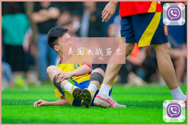 美国决战芬兰