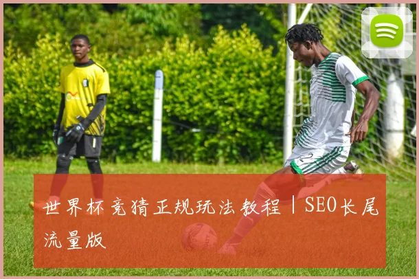 世界杯竞猜正规玩法教程｜SEO长尾流量版