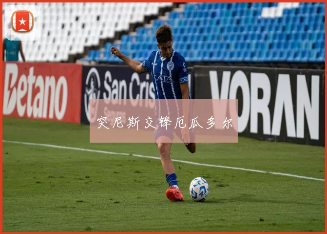 突尼斯交锋厄瓜多尔