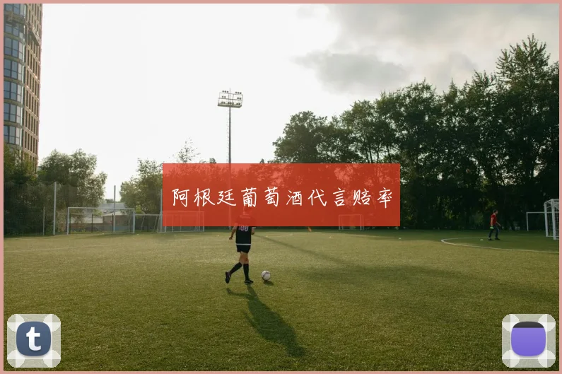 阿根廷葡萄酒代言赔率