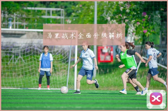 马里战术全面升级解析