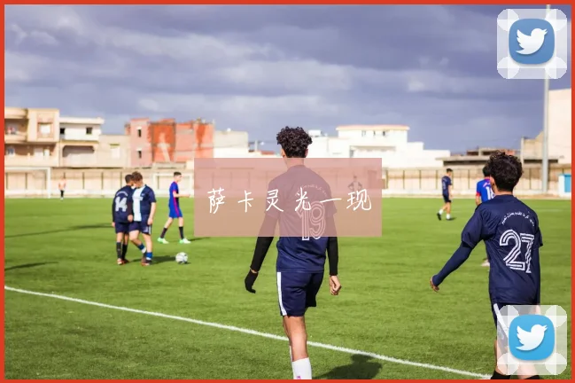 萨卡灵光一现