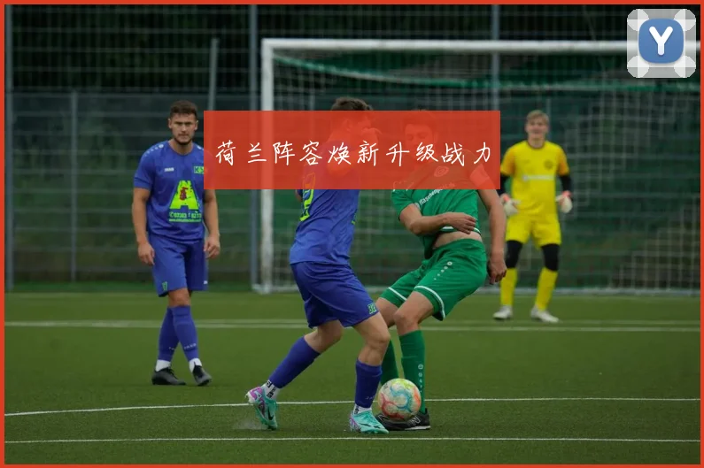 荷兰阵容焕新升级战力