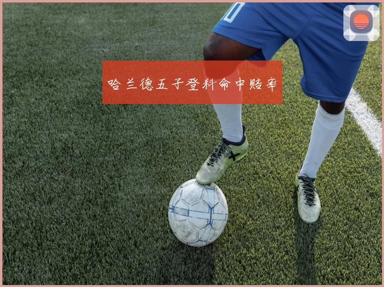 哈兰德五子登科命中赔率