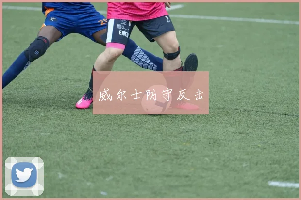 威尔士防守反击
