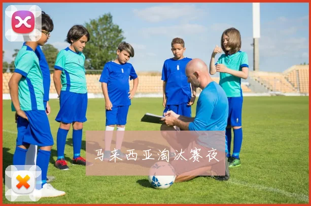 马来西亚淘汰赛夜