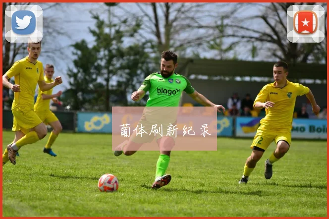 葡体刷新纪录