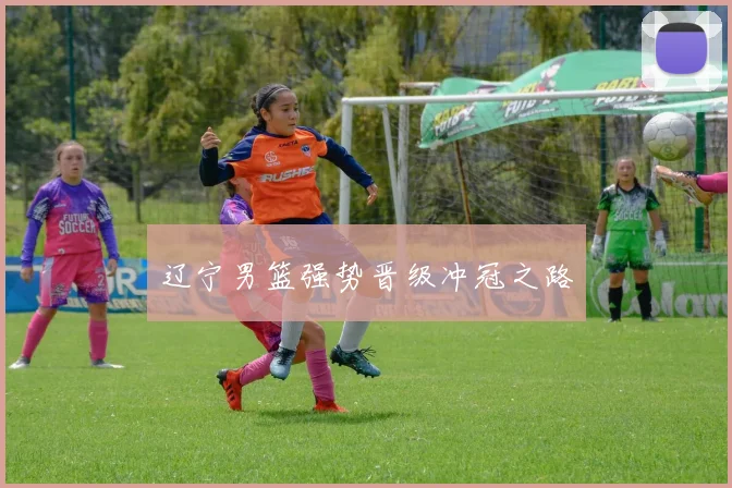 辽宁男篮强势晋级冲冠之路