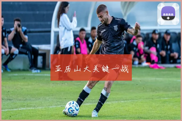 亚历山大关键一战
