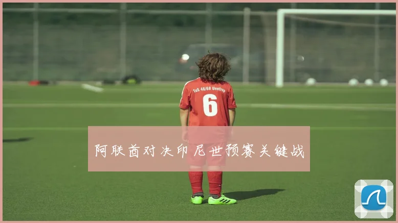 阿联酋对决印尼世预赛关键战