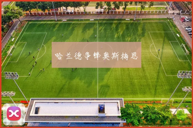 哈兰德争锋奥斯梅恩