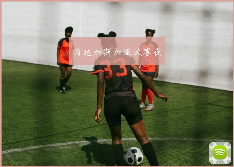 马达加斯加淘汰赛夜