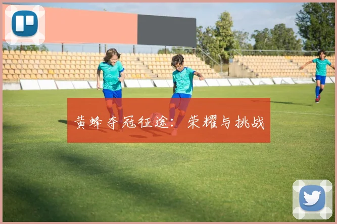 黄蜂夺冠征途：荣耀与挑战