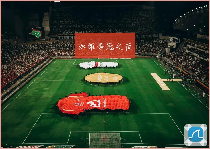 加维争冠之夜