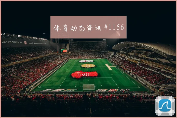 阿根廷对阿尔及利亚J组传控比例