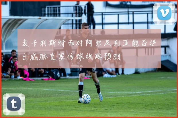 麦卡利斯特面对阿尔及利亚能否送出威胁直塞传球线路预测