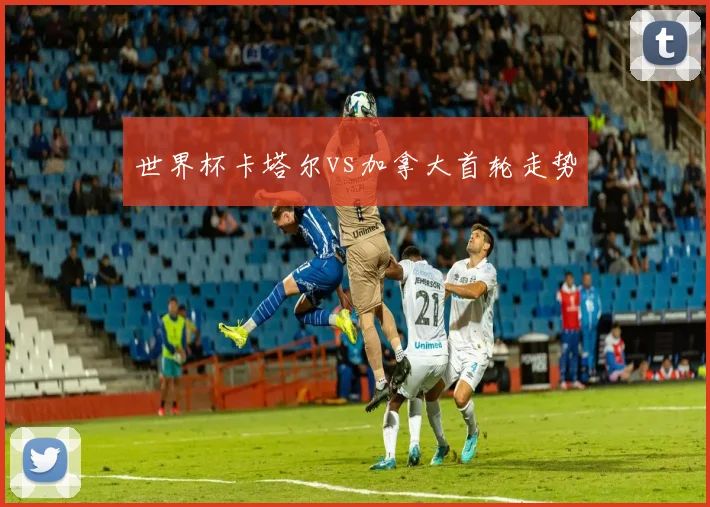 世界杯卡塔尔vs加拿大首轮走势