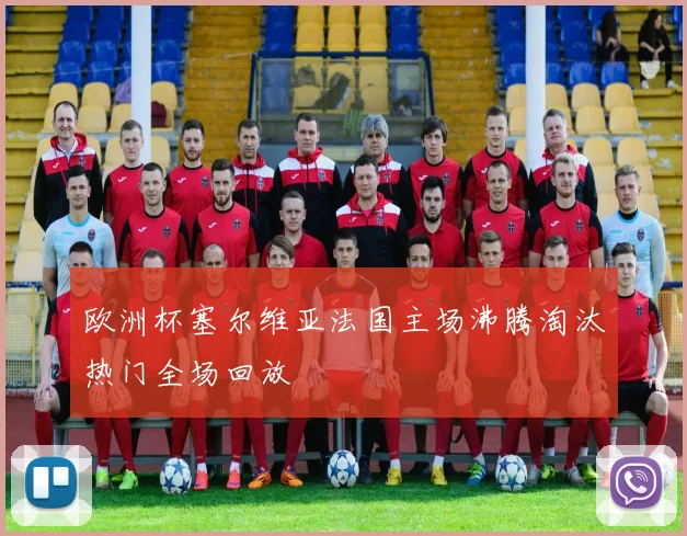 欧洲杯塞尔维亚法国主场沸腾淘汰热门全场回放