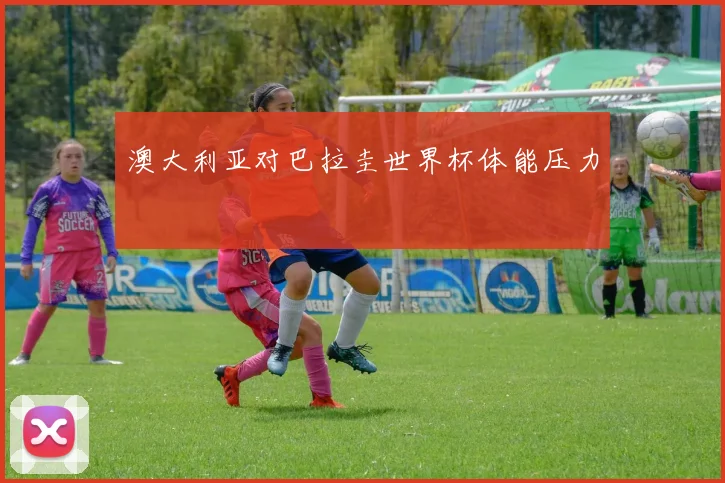 澳大利亚对巴拉圭世界杯体能压力