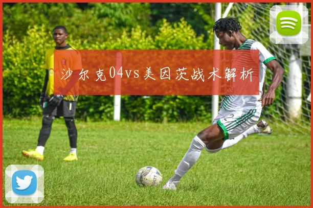 沙尔克04vs美因茨战术解析