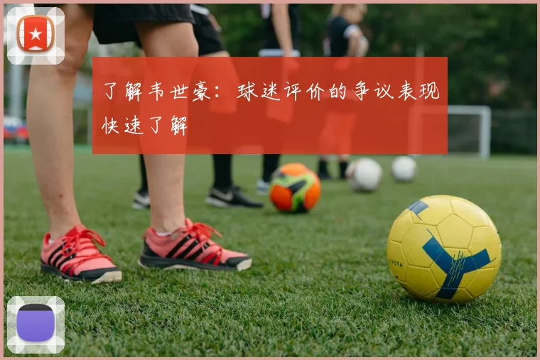 了解韦世豪：球迷评价的争议表现快速了解