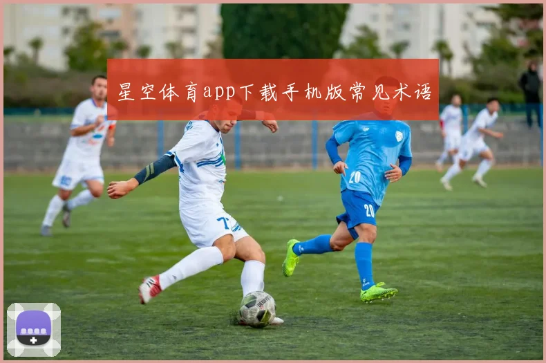 星空体育app下载手机版常见术语