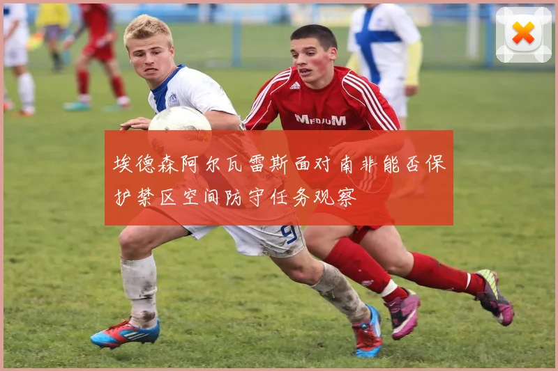 埃德森阿尔瓦雷斯面对南非能否保护禁区空间防守任务观察